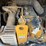 caterpillar-259d3-image-37