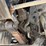 #6443-•-2003-sterling-boom/crane-truck-image-79