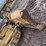 2007-deere-700j-xlt-image-22