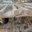 caterpillar-336-image-88