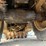 ingersoll-rand-sd70f-image-66