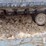 takeuchi-tb290-image-37