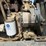 ingersoll-rand-sd70f-image-37