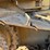 caterpillar-d4h-lgp-image-75