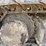 caterpillar-312el-image-101