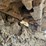 komatsu-pc490-lc-11-image-81
