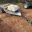 8ft-pull-behind-trailer---bill-of-sale-only-image-2