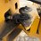 volvo-sd75b-image-20