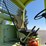 euclid-l-30-9upm-wheel-loader---pasco,-wa-image-41