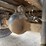 #6443-•-2003-sterling-boom/crane-truck-image-86