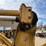 caterpillar-950f-image-15