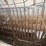 #9601-•-sheep-gates-image-5