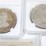 #36013-•-currency-|-commemorative-coin,-replica-coins-and-hunting-club-coins,-(26)-image-9