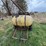 #9565-•-tree-waterer-image-1