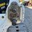 2023-bobcat-t66-image-11