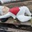 #9000-•-happy-chef-statue-(elk-river,-mn)-image-2