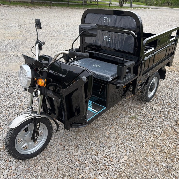 #308 • Unused 2026 IRET13 Electric Tricycle