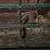 #9605-•-(2)-gates-image-3