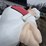 #9000-•-happy-chef-statue-(elk-river,-mn)-image-19
