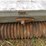 #9564-•-brillion-cultipacker-seeder-image-13