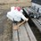 #9000-•-happy-chef-statue-(elk-river,-mn)-image-32