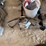 jiffy-auger,-ice-fishing-poles-etc-image-3