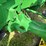 2010-john-deere-8225r-image-20
