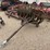 #957-•-pull-behind-disc-single-axle-image-1
