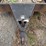 2005-stealth-rice-trailer-6.5ft-w-x-12ft-l.-vin-48mf516295s053999-image-3