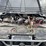 2008-polaris-ranger-image-14