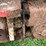 #9559-•-new-idea-manure-spreader-image-14