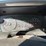 #42083-•-2010-ford-crown-victoria-sedan-vin:-2fabp7bv6ax133733-image-37