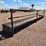 portable-fence-line-feed-bunk-image-4
