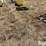 john-deere-12-image-6