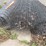 #9595-•-(3)-rolls-of-fencing-wire-image-3