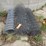#9595-•-(3)-rolls-of-fencing-wire-image-1