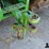 2012-john-deere-8310r-image-17