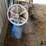 westfield-10'-transfer-auger-image-5