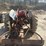 ford-8n-image-3