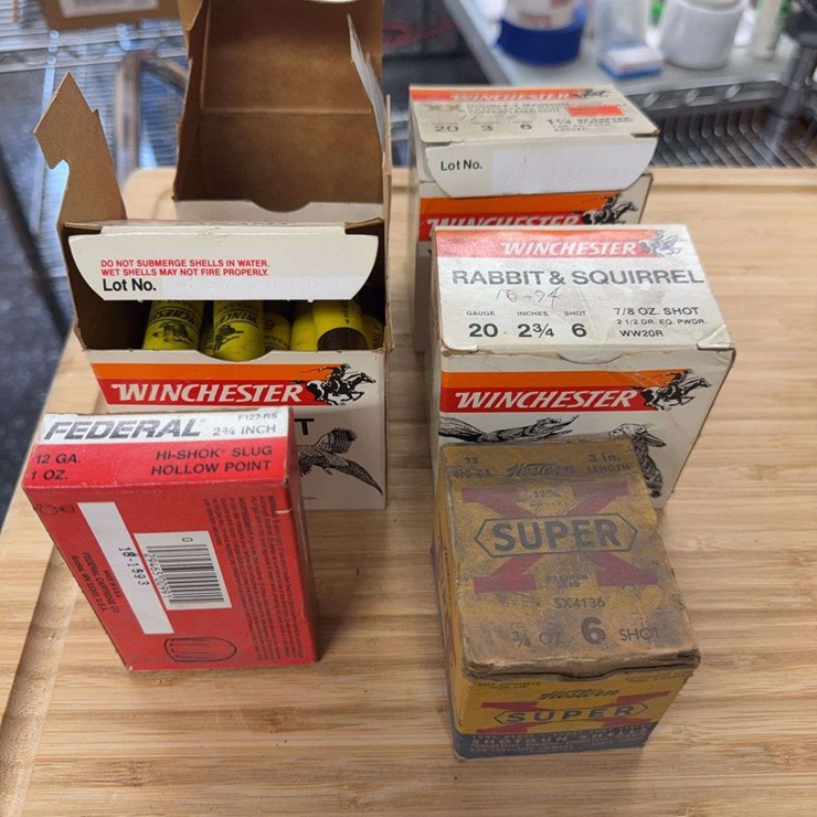 Assorted Shotgun Shells
