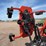 2019-land-pride-afm4214-image-11