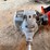 echo-58v-trimmer-&-gas-trimmer-image-4