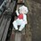 #9000-•-happy-chef-statue-(elk-river,-mn)-image-30