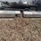 large-steel-shed/garage-(2-boxes)-a+b-33ft-25ft-image-1