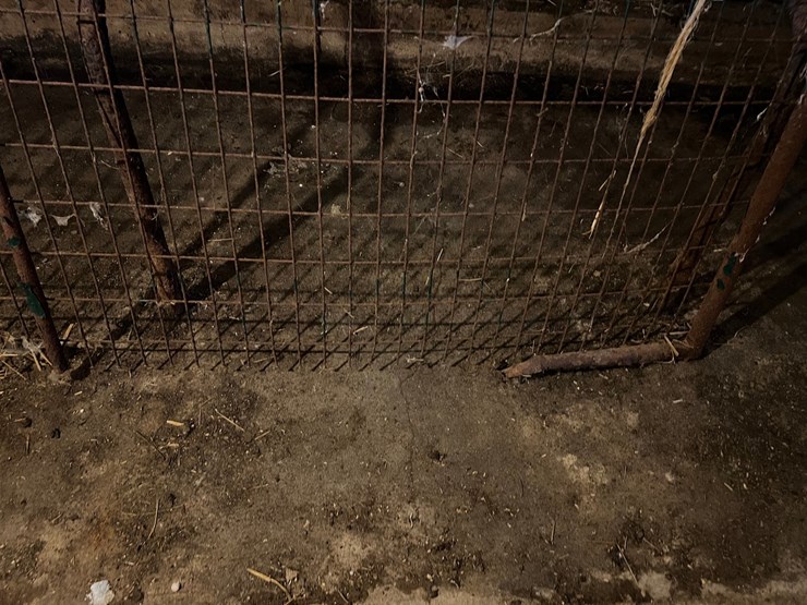 #9603-•-mesh-gate-image-5