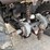 2007-honda-trx420fe-image-23