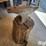 anvil-image-3