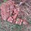 #9584-•-antique-bricks-image-2