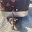 #368-•-1983-turnbow-2-horse-bumper-pull-trailer-(has-wi-title)-(helenville,-wi)-image-8