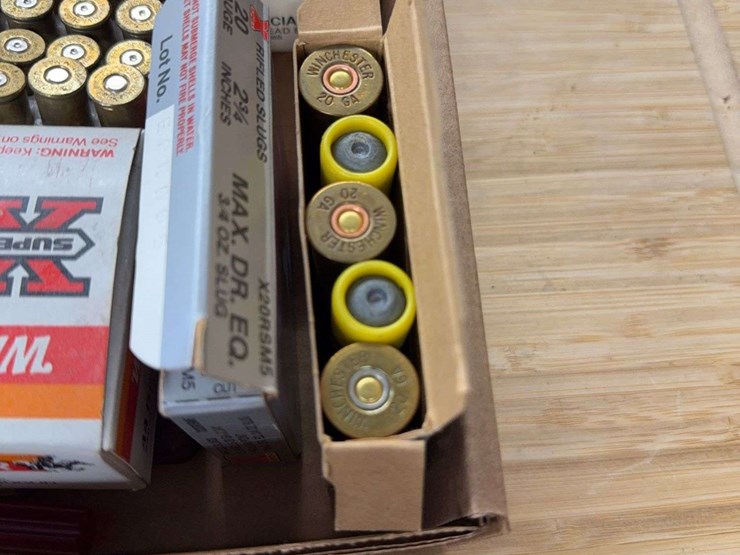 miscellaneous-ammo-image-3